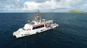 Snorkeling com vida marinha