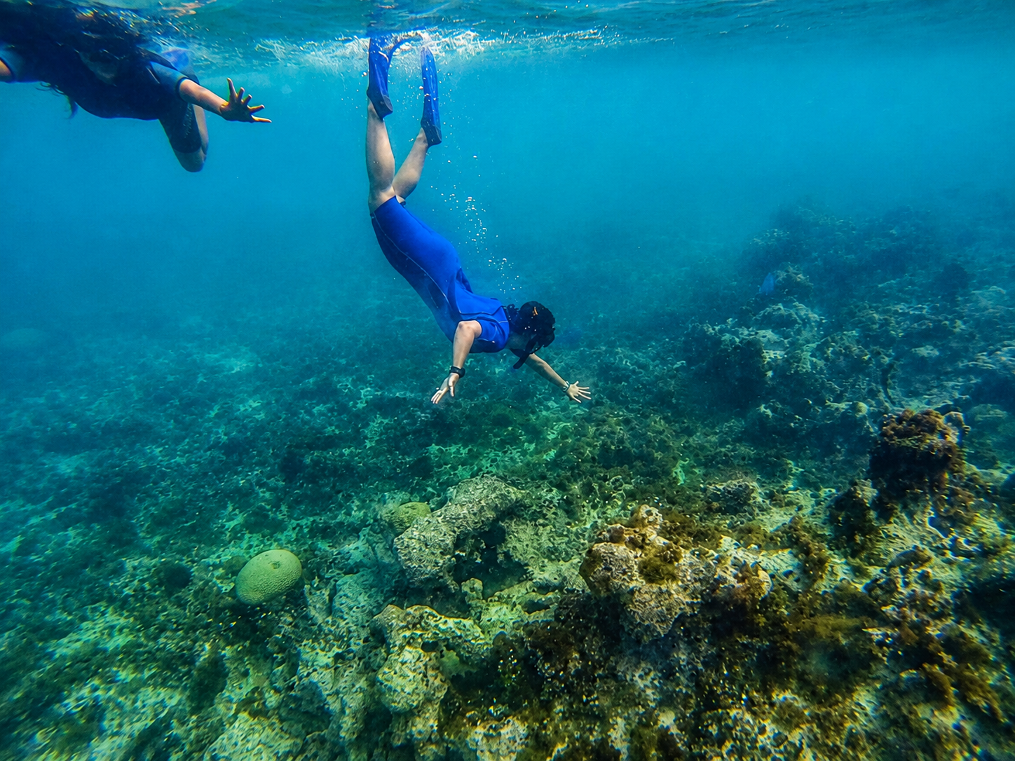 Mergulho autônomo nas águas de Abrolhos