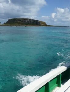 Whales no canal de Abrolhos